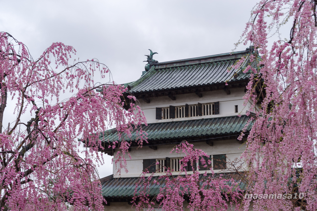 IMGP0891