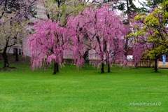 IMGP0808