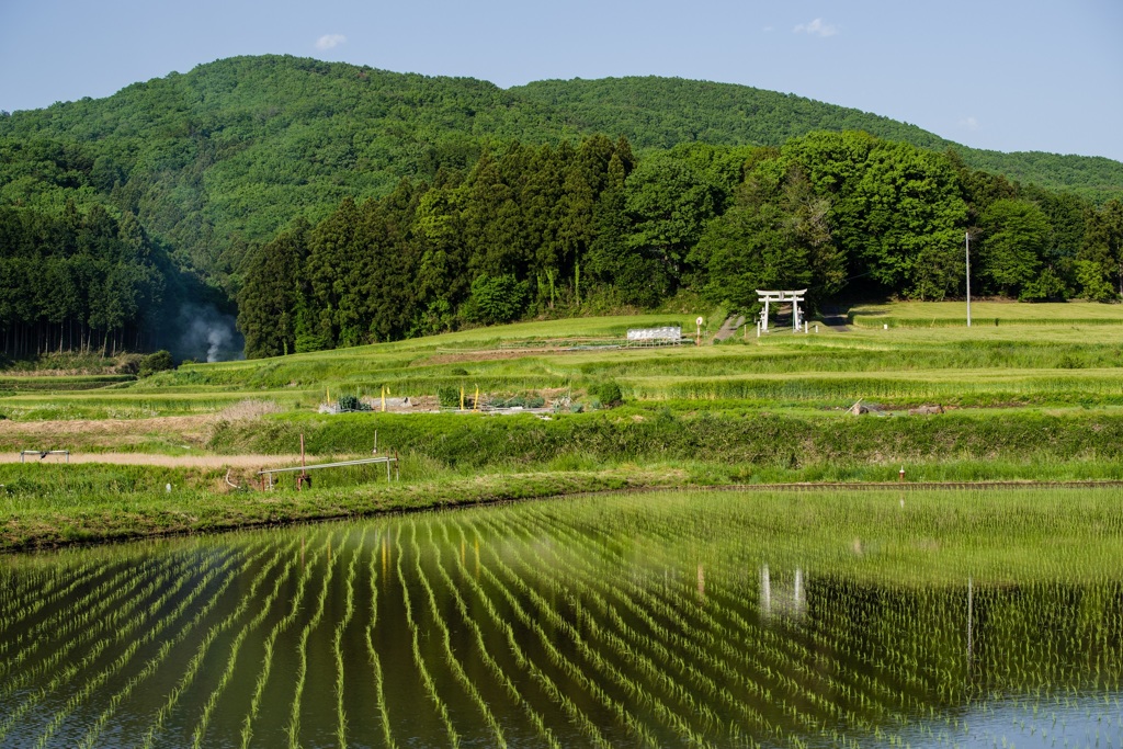 20160505-IMGP1174