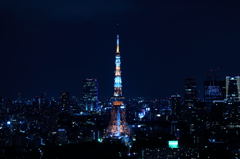 tower of TOKYO