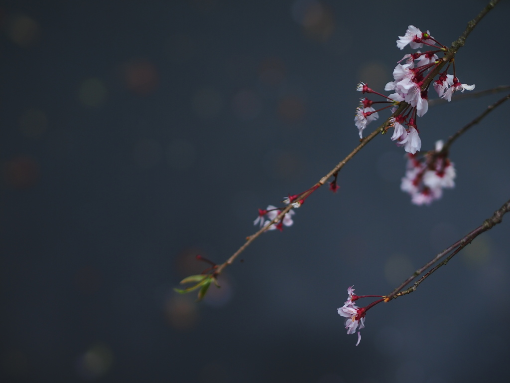 未