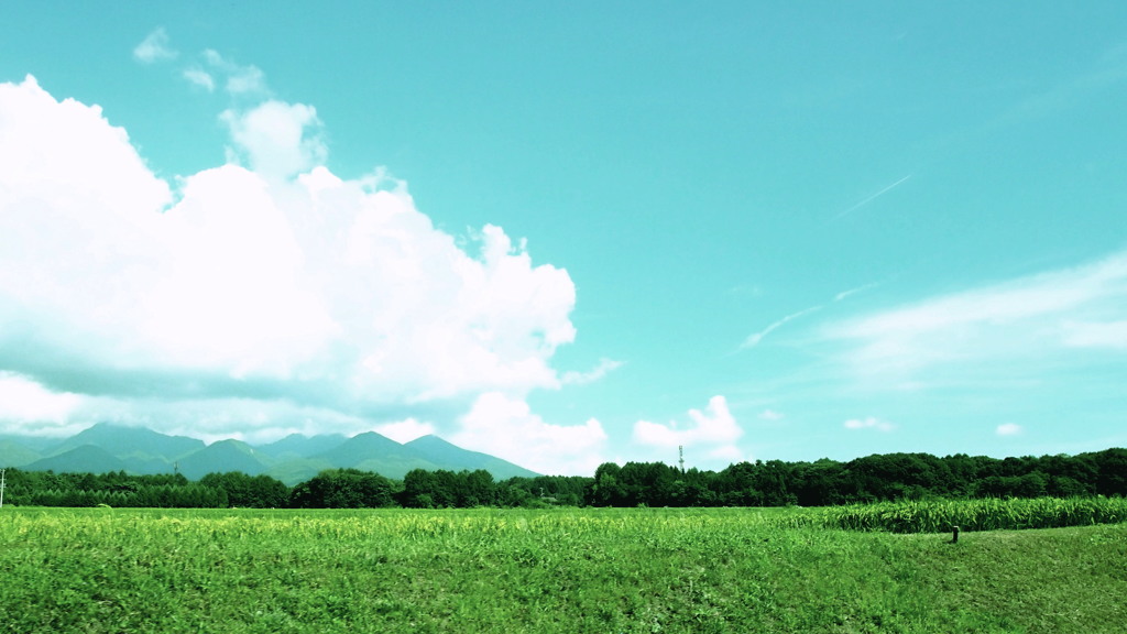 夏の風に絡まれて