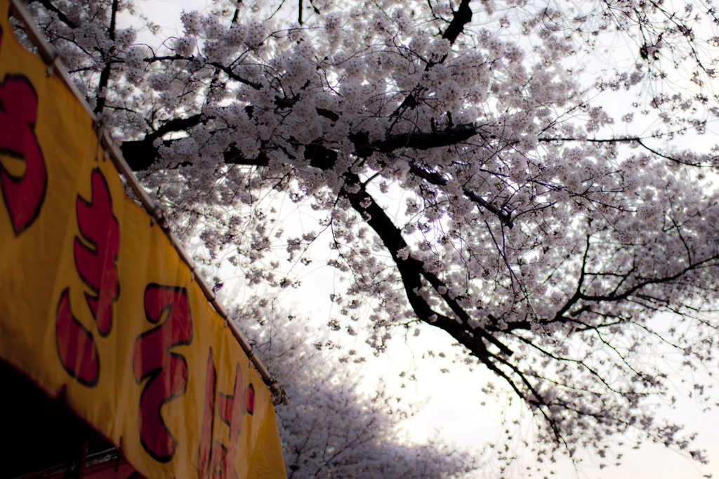 先ずは "やきそば" でしょ？