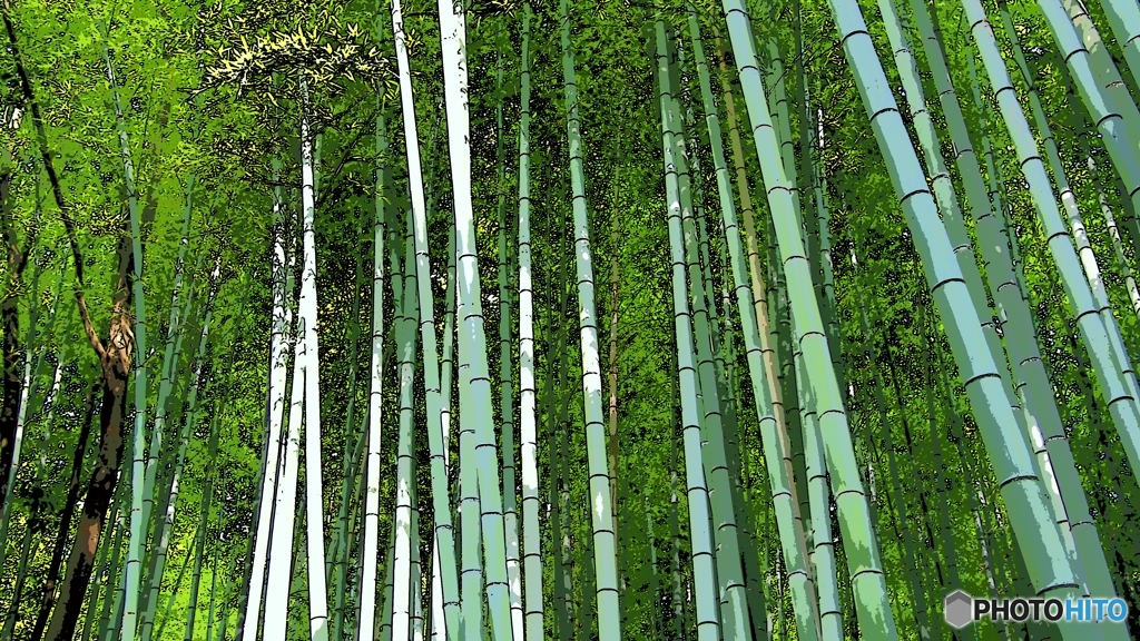 京都嵐山