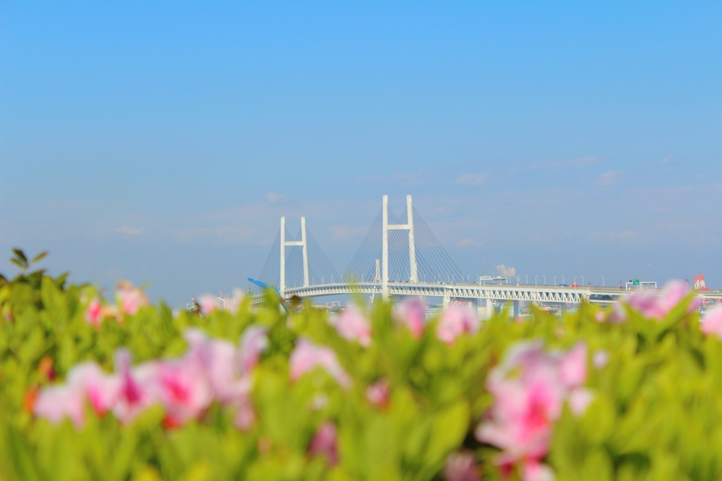 横浜 ベイブリッジ