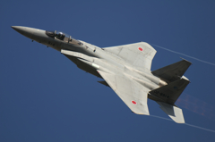 各務原　Ｆ１５