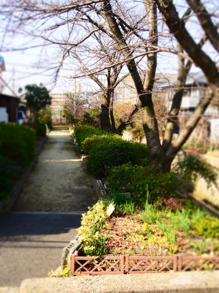 散歩道。
