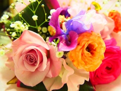 お花たち。