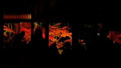 京都絵画展