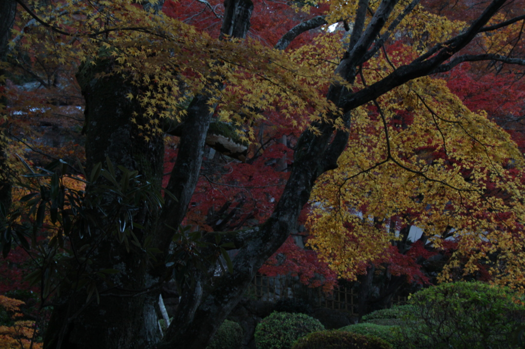 大窪寺４