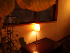 Kobe Cafe