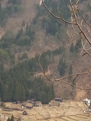 春の北陸2　白川郷2