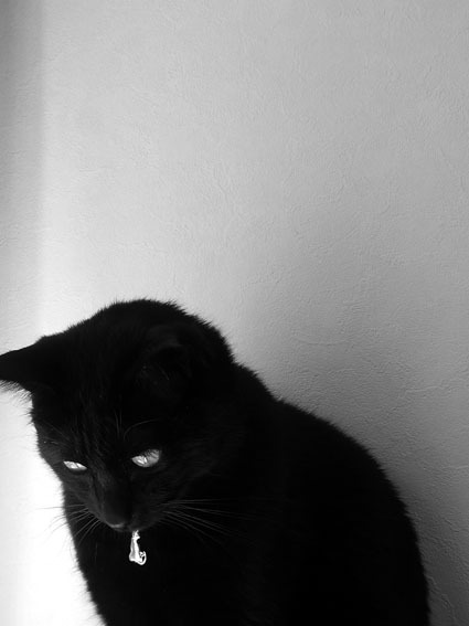 PEKE