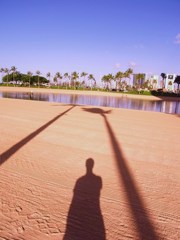 HAWAII 朝の散歩