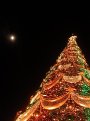 USJX’mas　2013-7