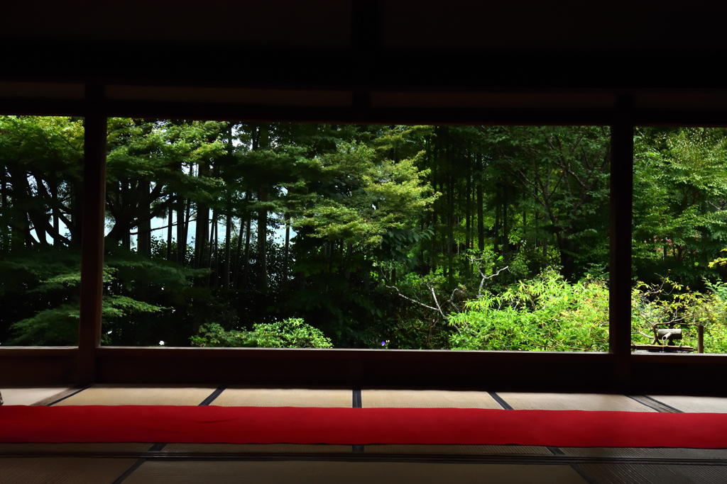 京都　大原　法泉寺
