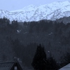 春の北陸2　白川郷