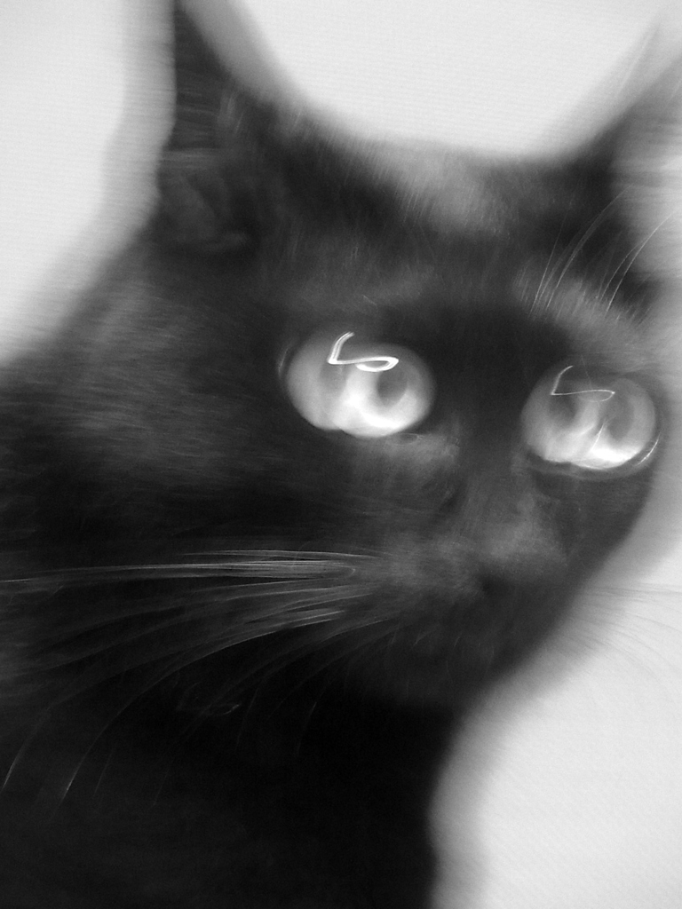 写真はイヤやて・・・。