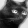 写真はイヤやて・・・。