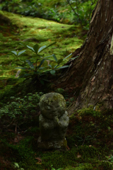 夏の三千院其の三