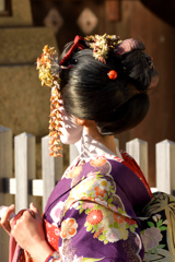 2016　秋　京都6