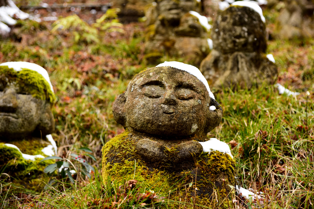 京都嵯峨野3