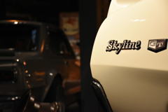 Skyline1