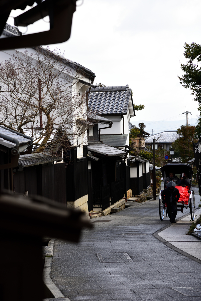 京都　嵯峨野1