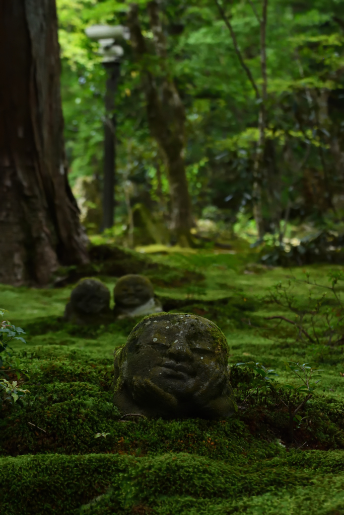 夏の三千院其の二