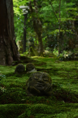 夏の三千院其の二