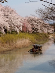 春の北陸　加賀2