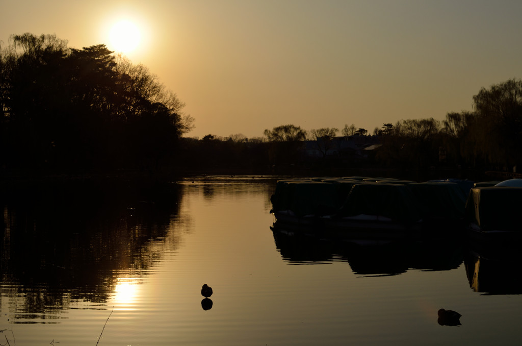 夕景