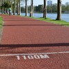 1100M