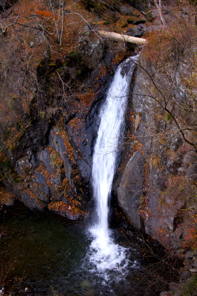 紅葉と滝