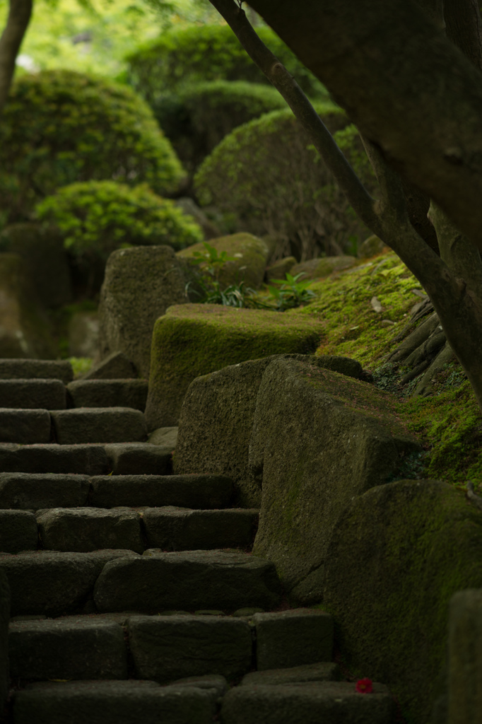 報国寺にて