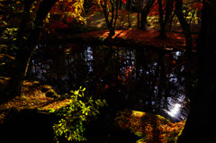 落葉の公園