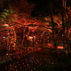 紅葉＠貴船神社②