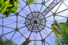 Octagon