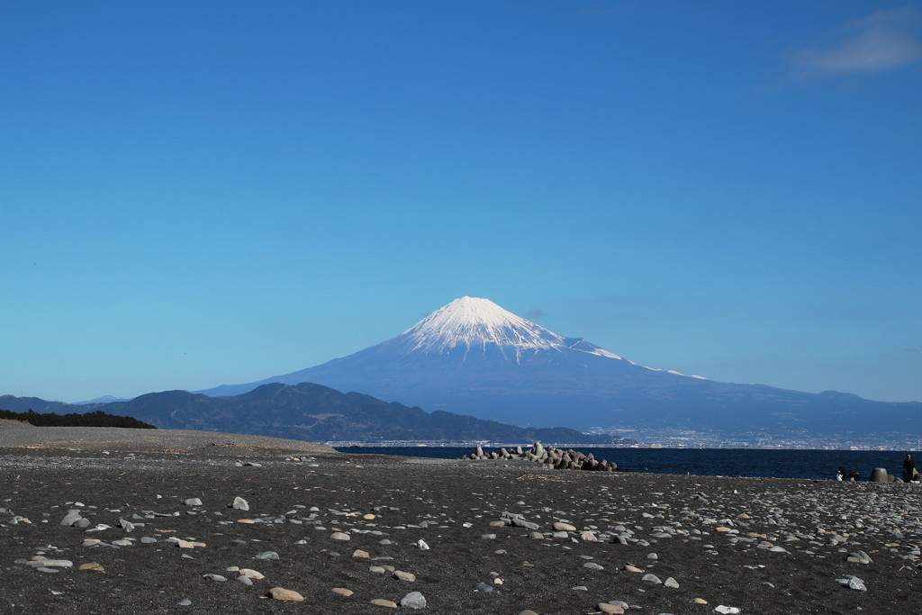 FUJI