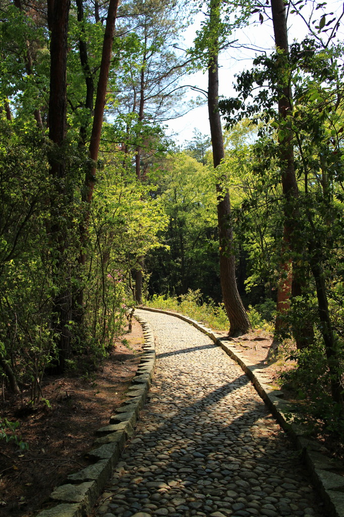 散歩道