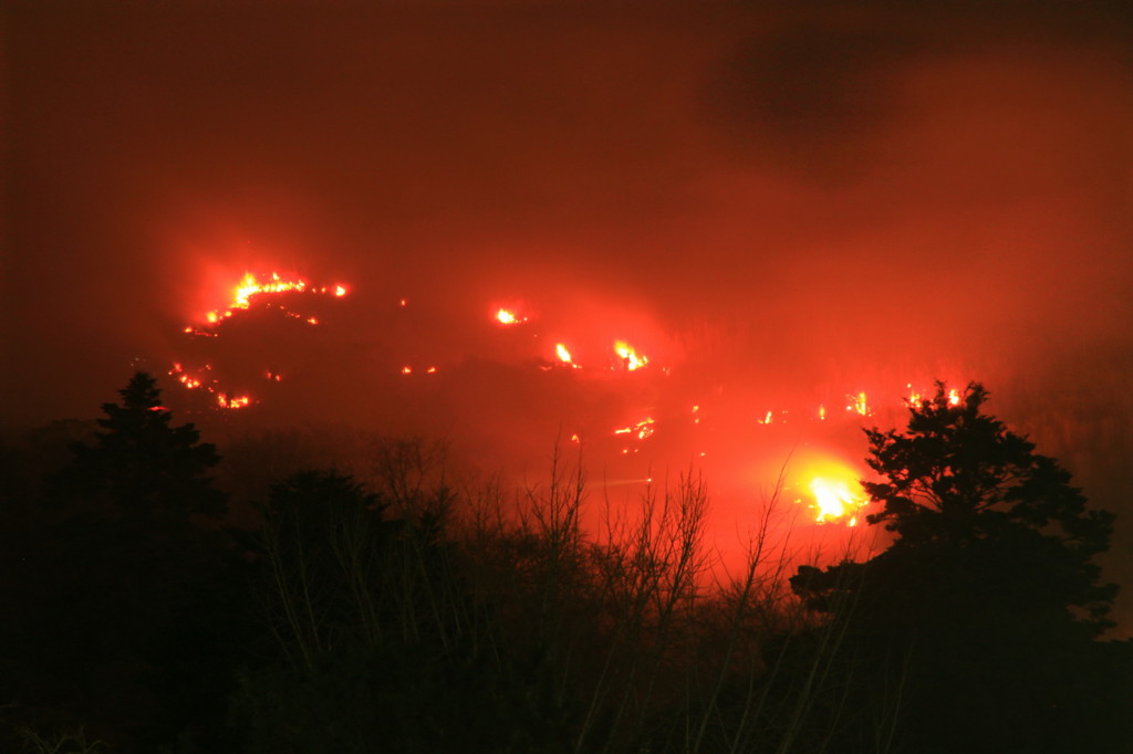 若草山山焼き(1)