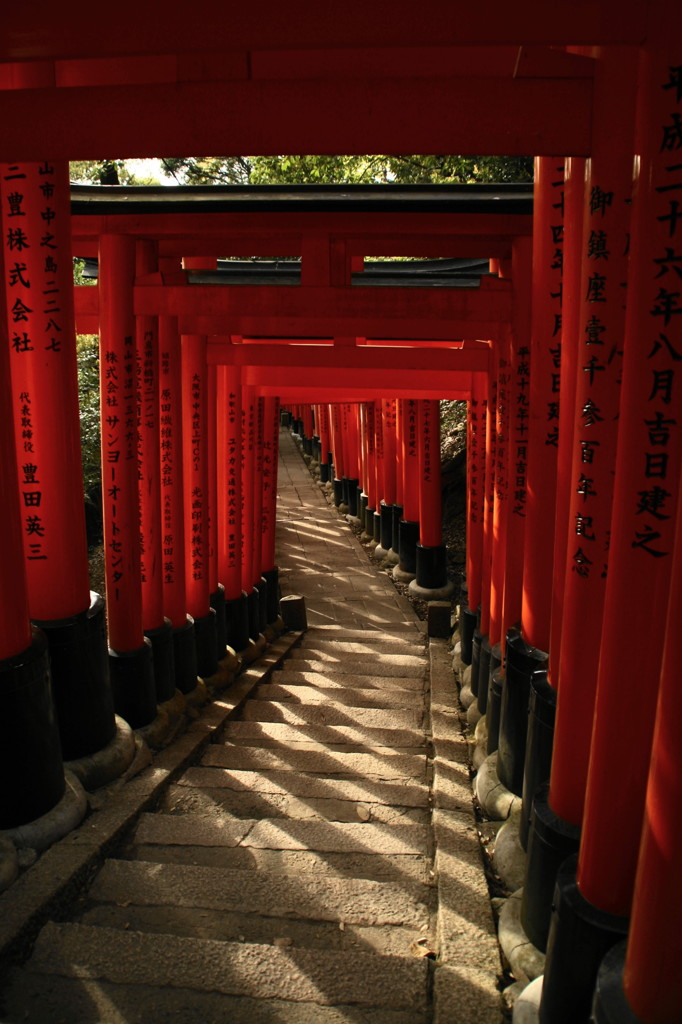 鳥居の影遊び