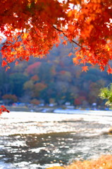 嵐山の紅葉⑧