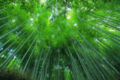 清涼空間