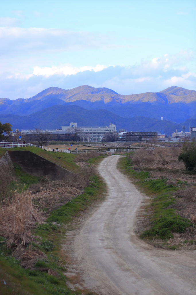 桂川散歩