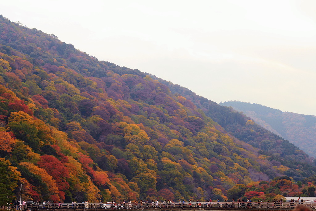 渡月橋(1)