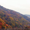 渡月橋(1)