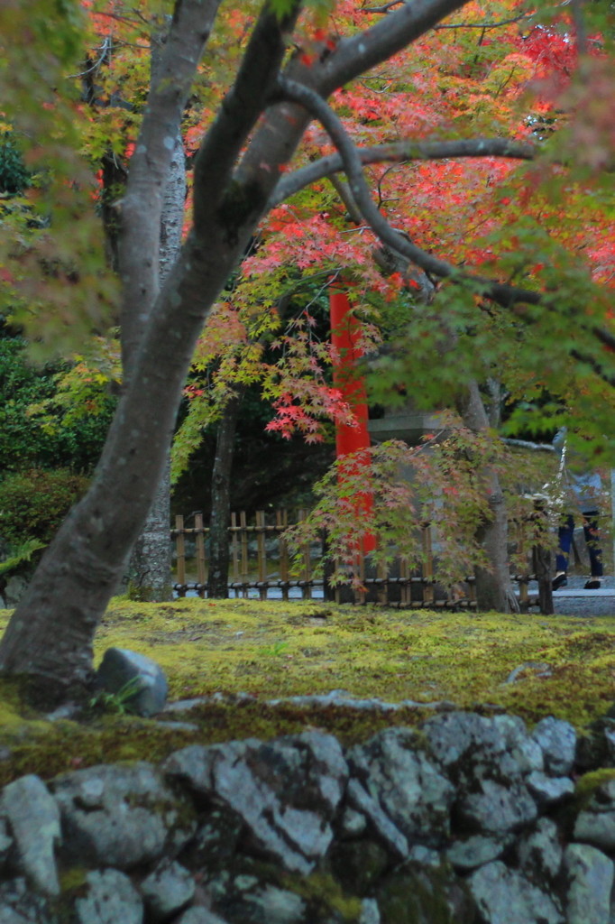 紅葉とお社さん