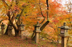 談山神社の紅葉(2)