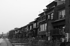 鴨川散歩